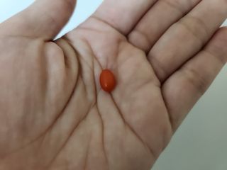 치토스님이 올린 리뷰 사진 2