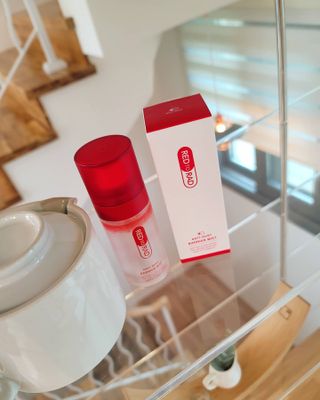 레드투래드 안티더스트 배리어 미스트 55ml — 5점을 준 리뷰어가 2021년 6월 올린 사용 사진