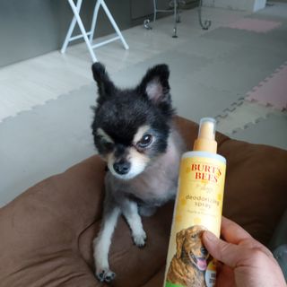 복도리님이 올린 리뷰 사진 3