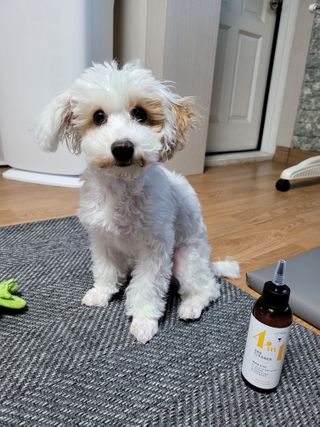 제제님이 올린 리뷰 사진 3