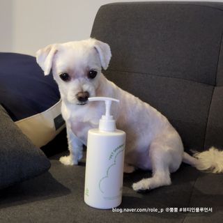 뿜뿜님이 올린 리뷰 사진 1