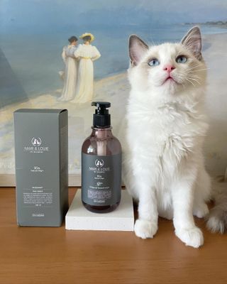 마리앤루이펫샴푸 [mari and louie pet shampoo] — 5점을 준 리뷰어가 2021년 6월 올린 사용 사진
