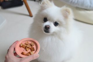 JAY님이 올린 리뷰 사진 1