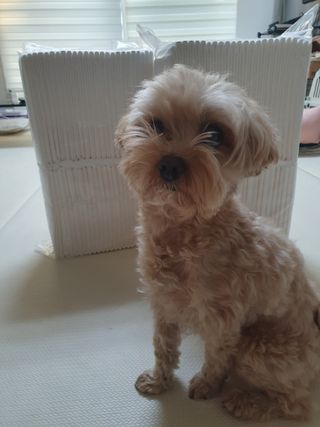 아코맘님이 올린 리뷰 사진 1