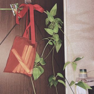 소원구르밍님이 올린 리뷰 사진 3