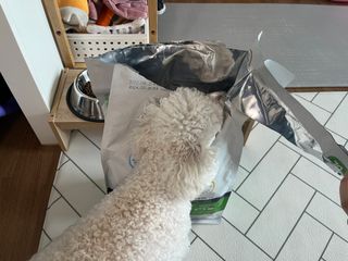 도우너님이 올린 리뷰 사진 2