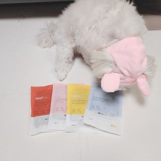 소중하비님이 올린 리뷰 사진 2