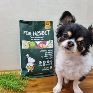 [푸디웜] 라포그  리얼인섹트 웨이트밸런스 저알러지 강아지 사료  1.2KG — 5점을 준 리뷰어가 2022년 7월 올린 사용 사진