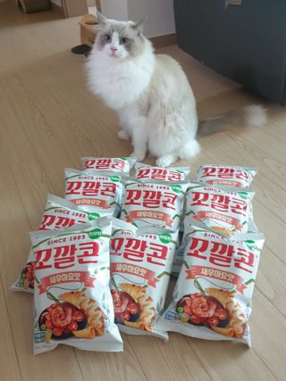 로크찡님이 올린 리뷰 사진 3