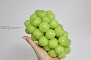 블루가넷님이 올린 리뷰 사진 1