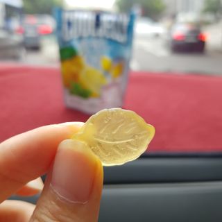 지니그램님이 올린 리뷰 사진 4
