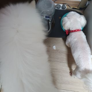 최소현님이 올린 리뷰 사진 3