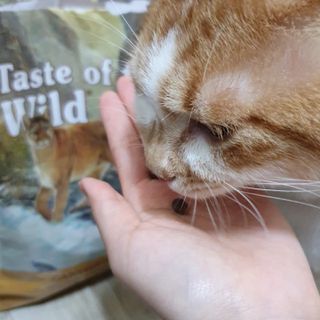 단비k님이 올린 리뷰 사진 3