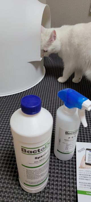 대박이님이 올린 리뷰 사진 2