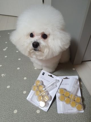 hyun♡님이 올린 리뷰 사진 1
