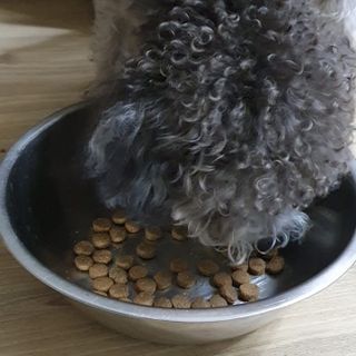 함미선님이 올린 리뷰 사진 3