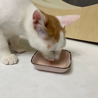 랴님이 올린 리뷰 사진 4