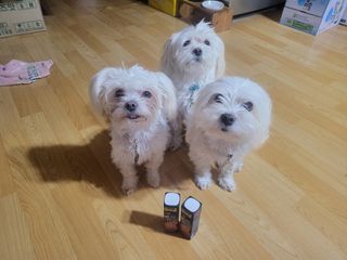 공팔리터님이 올린 리뷰 사진 1