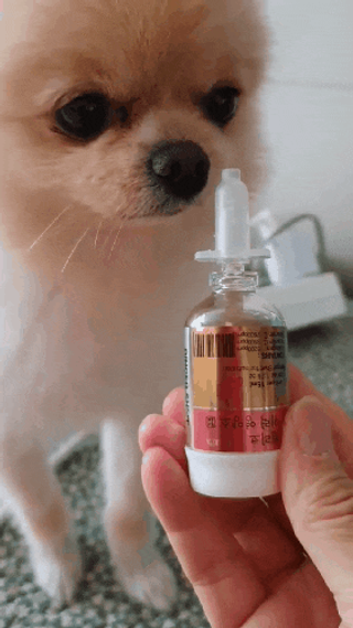 무지조타 반려동물용 꽃으로만든영양제 헬리코디펜스 15ml — 5점을 준 리뷰어가 2021년 8월 올린 사용 사진