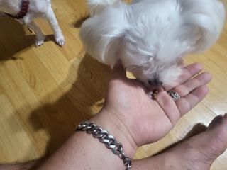 공팔리터님이 올린 리뷰 사진 3