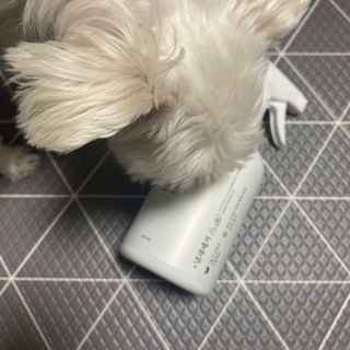 당근님이 올린 리뷰 사진 2