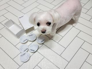 두부님이 올린 리뷰 사진 4