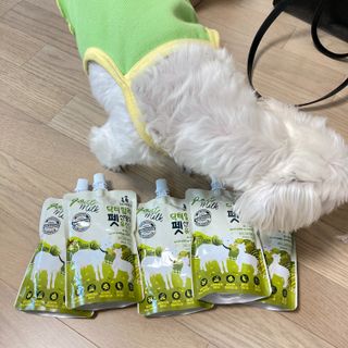 뜡스리뷰님이 올린 리뷰 사진 2