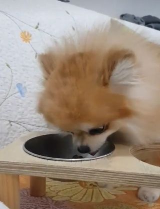 응답하라공팔님이 올린 리뷰 사진 4