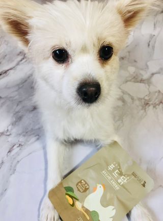 도그퓨어 푸드닭 강아지 닭고기 통살 애견간식 오리지널/차전자피/초록입홍합 — 5점을 준 리뷰어가 2021년 11월 올린 사용 사진