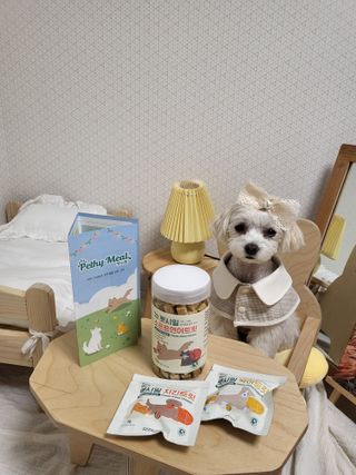 [펫시밀] 원물그대로 영양듬뿍 진공동결건조 북어트릿75g,치킨트릿100g,연어트릿75g 강아지 고양이 간식 — 5점을 준 리뷰어가 2023년 5월 올린 사용 사진