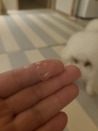 Claire님이 올린 리뷰 사진 2