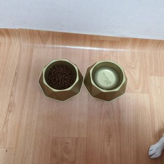 [세싹보울] 세균 싹~ 사라지는 셀앤핏 펫 항균동 애견식기 — 5점을 준 리뷰어가 2021년 6월 올린 사용 사진
