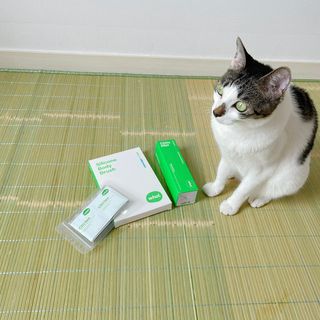 whol 키토미스트 150ml + 실리콘바디브러쉬  강아지 고양이 항균항바이러스, 강력탈취 피부 보습,무향 — 5점을 준 리뷰어가 2022년 9월 올린 사용 사진