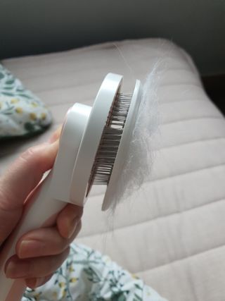 조원동새댁님이 올린 리뷰 사진 3
