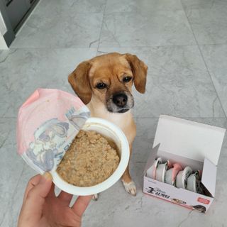 별리리님이 올린 리뷰 사진 4