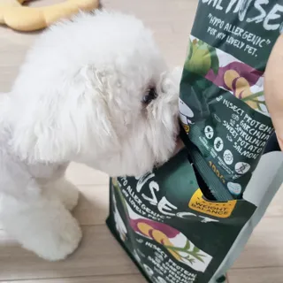 신원경님이 올린 리뷰 사진 2