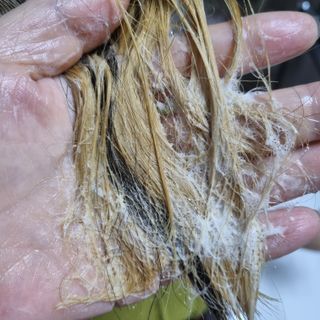 르핸스 퍼포밍 5 샴푸 비반트 포렛/베티버 포그 — 5점을 준 리뷰어가 2022년 12월 올린 사용 사진
