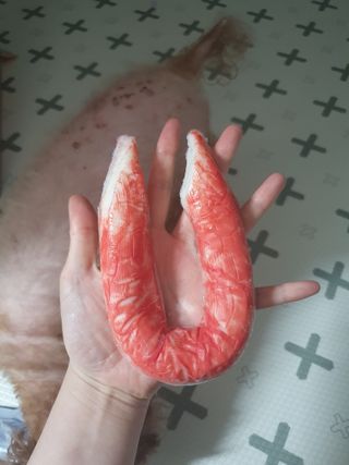 쑥이님이 올린 리뷰 사진 2
