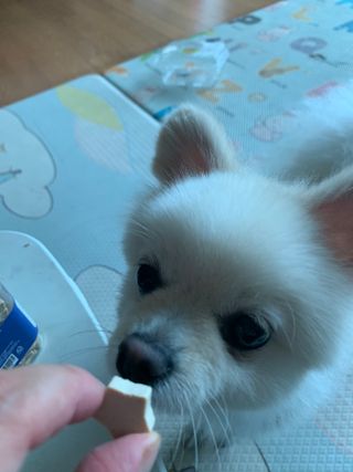 별이빛나길님이 올린 리뷰 사진 2