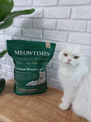 좋아님이 올린 리뷰 사진 2