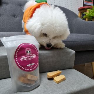 [졸리졸리] 애견 치즈스틱 (HORSE MILK CHEESE) — 5점을 준 리뷰어가 2023년 1월 올린 사용 사진