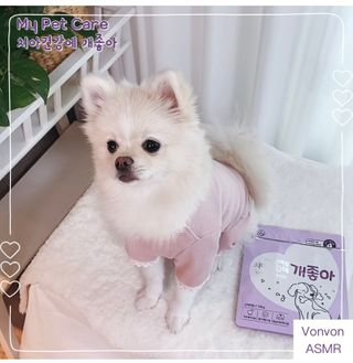 My Pet Care 천연단백질 치아건강에 개좋아 — 5점을 준 리뷰어가 2021년 2월 올린 사용 사진