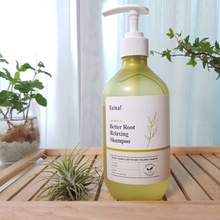 달리프 클로렐라 베러 루트 릴렉싱 샴푸 500ml — 5점을 준 리뷰어가 2021년 5월 올린 사용 사진