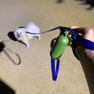 오랑이님이 올린 리뷰 사진 3