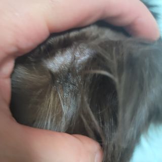 나초단맘님이 올린 리뷰 사진 2