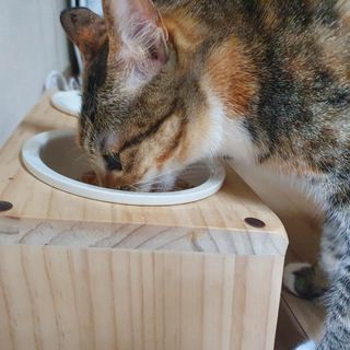 혜자님이 올린 리뷰 사진 1