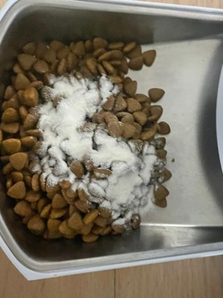 진시님이 올린 리뷰 사진 2