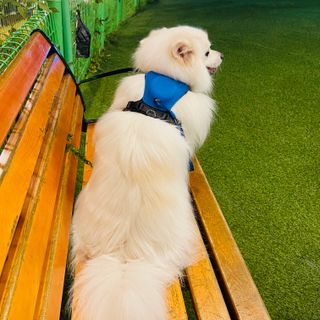 은공님이 올린 리뷰 사진 2