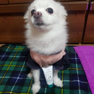 바나나님이 올린 리뷰 사진 3