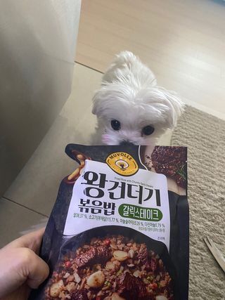 한성기업 무볼레 왕건더기 볶음밥 갈릭스테이크 — 4점을 준 리뷰어가 2021년 10월 올린 사용 사진